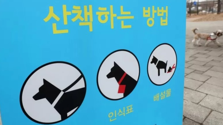 스크린샷 2024-03-27 201429.png