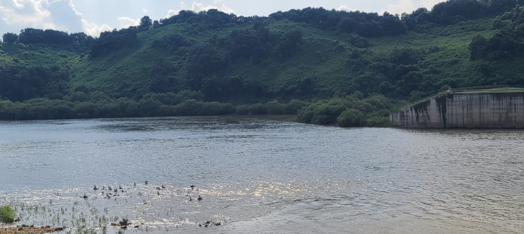 화면 캡처 2025-08-30 154300.png