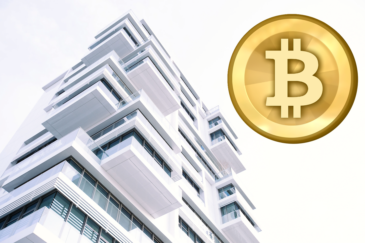 비트코인 투자는 부동산 처럼.