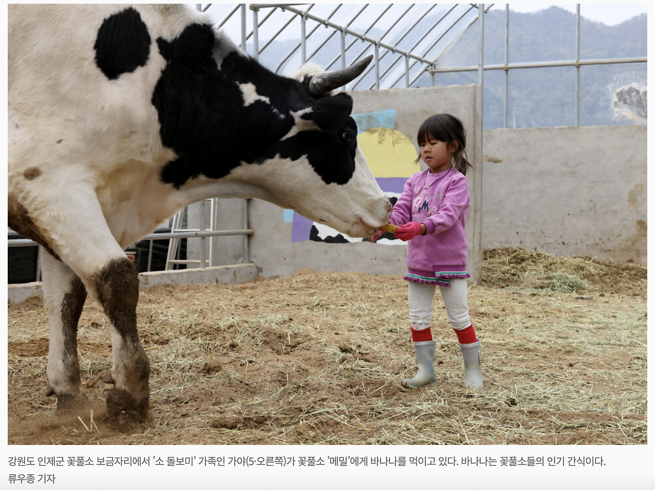 스크린샷 2024-04-07 오전 10.33.33.png