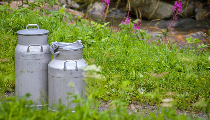 화면 캡처 2022-01-23 170818.png