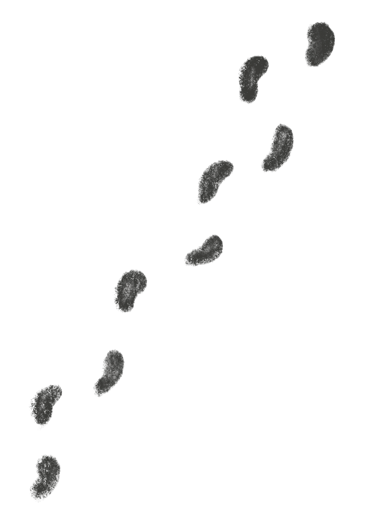 제목_없는_아트워크 100.png