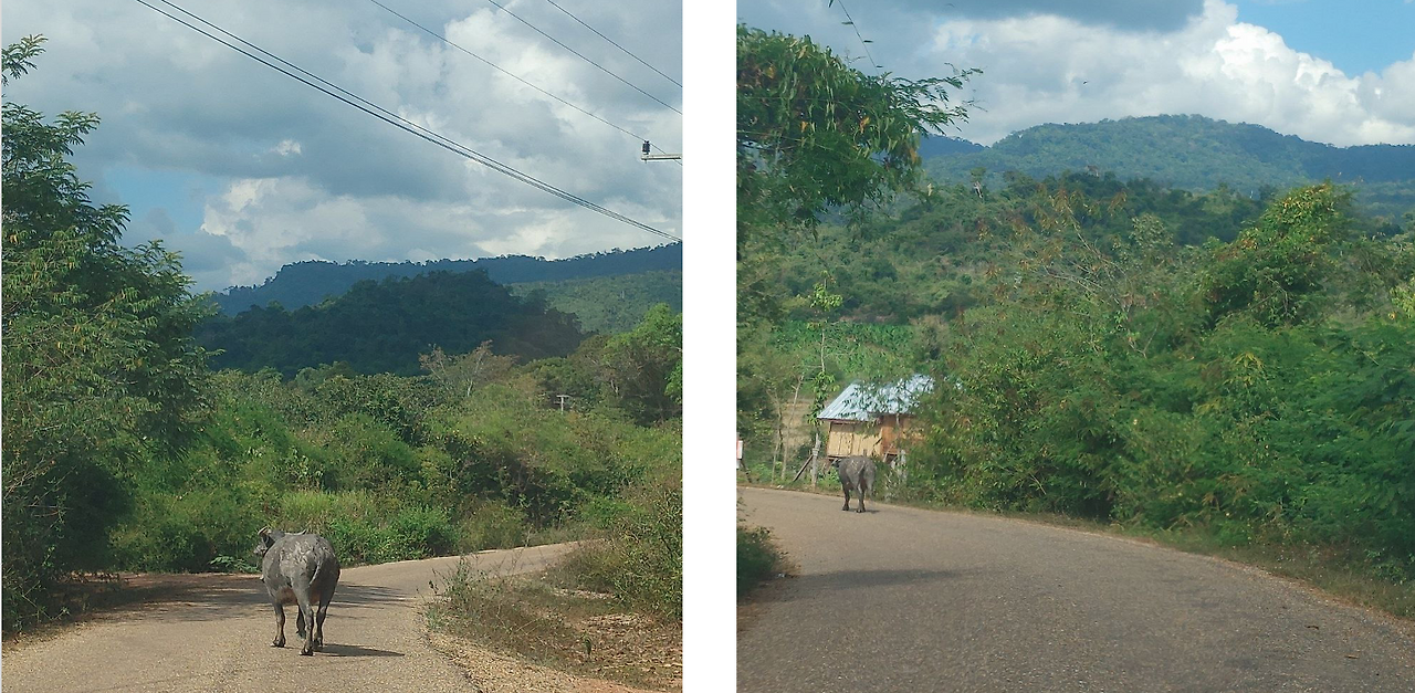 Screen Shot 2022-11-18 at 5.53.22 PM.png