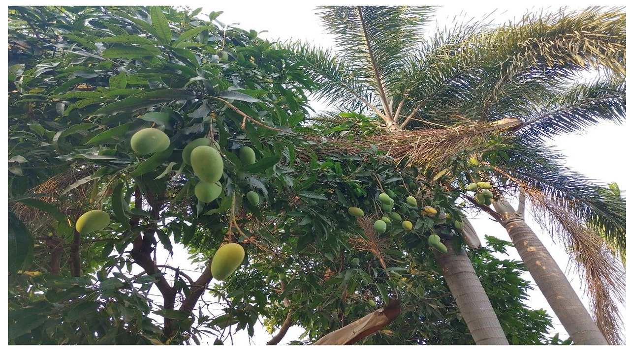 Screen Shot 2023-03-18 at 11.02.01 AM.png