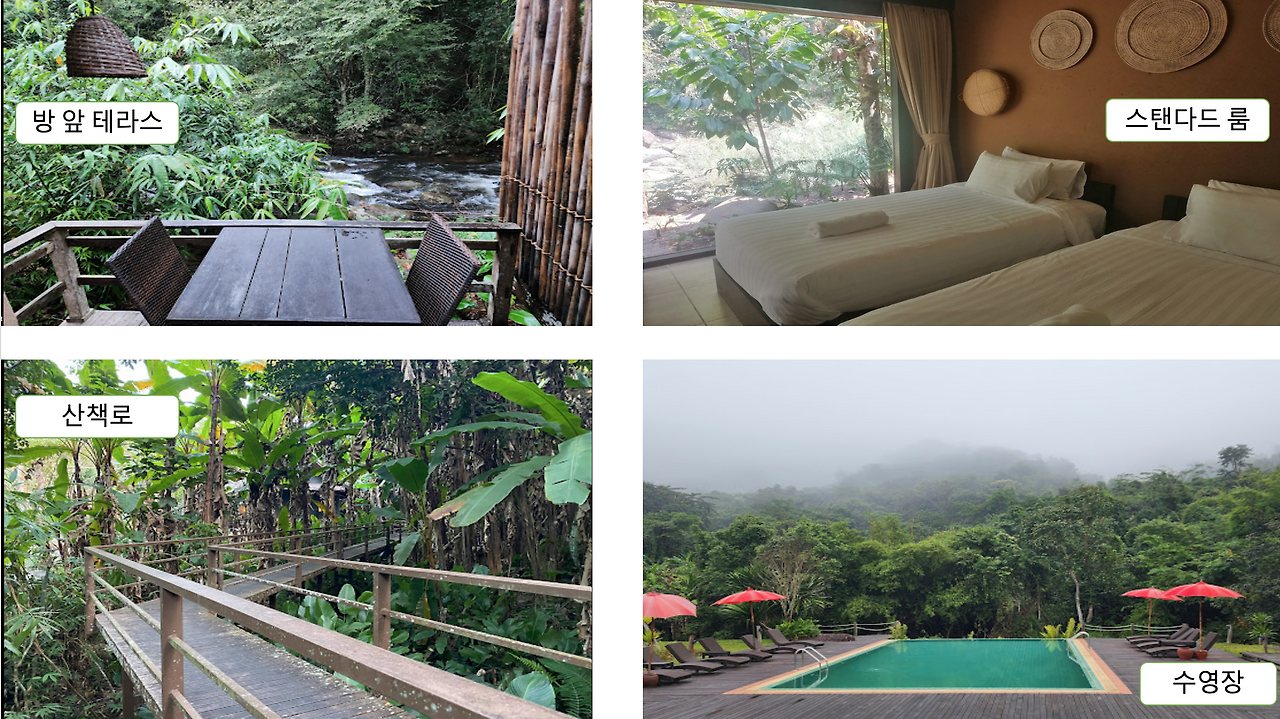 Screen Shot 2022-12-21 at 10.35.00 PM.png