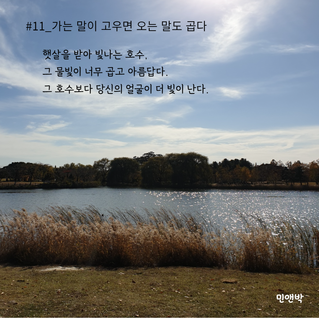 #11_가는 말이 고우면 오는 말도 곱다-001.png