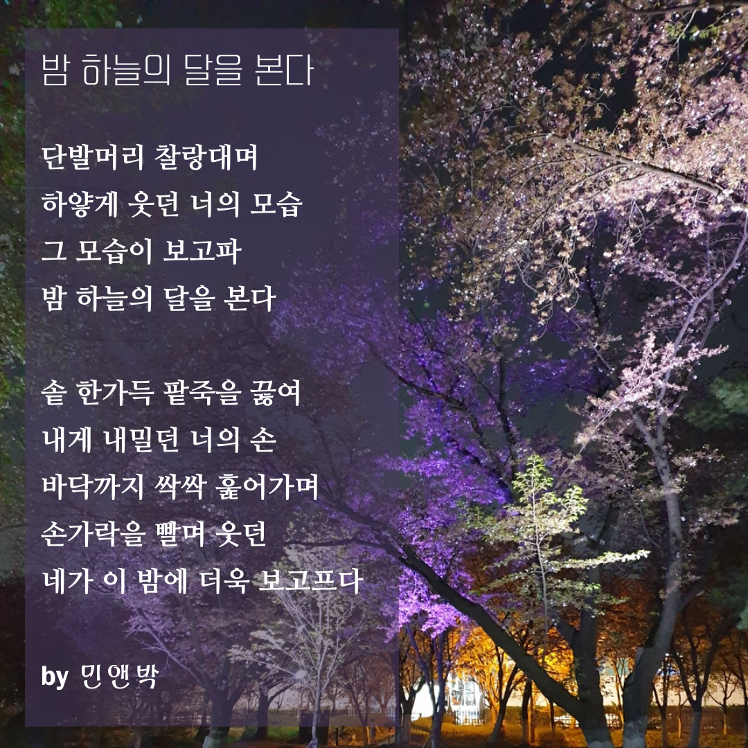 밤 하늘의 달을 본다.png