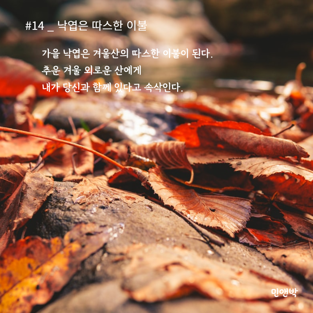 #14_낙엽은 따스한 이불-001.png
