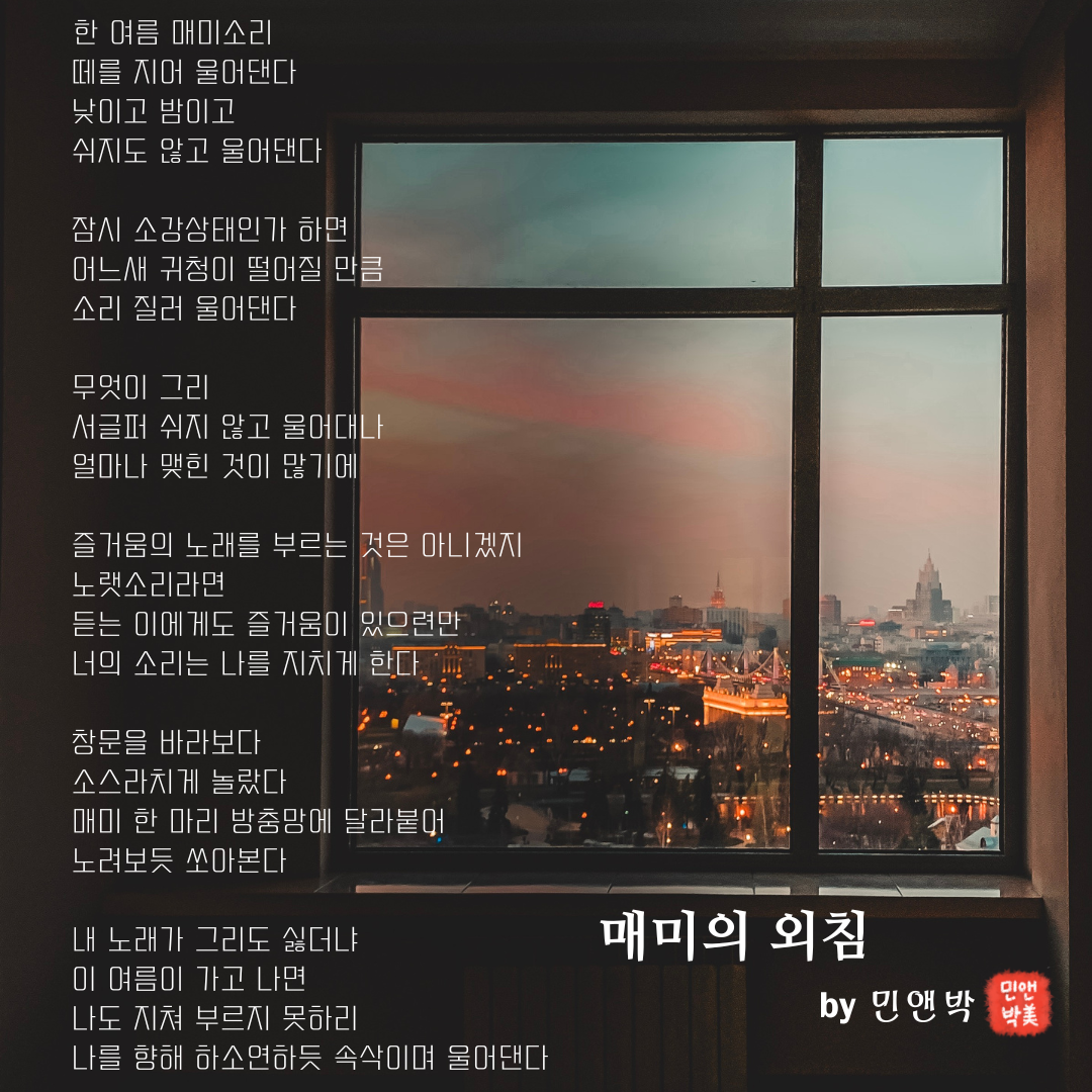 매미의 외침.png