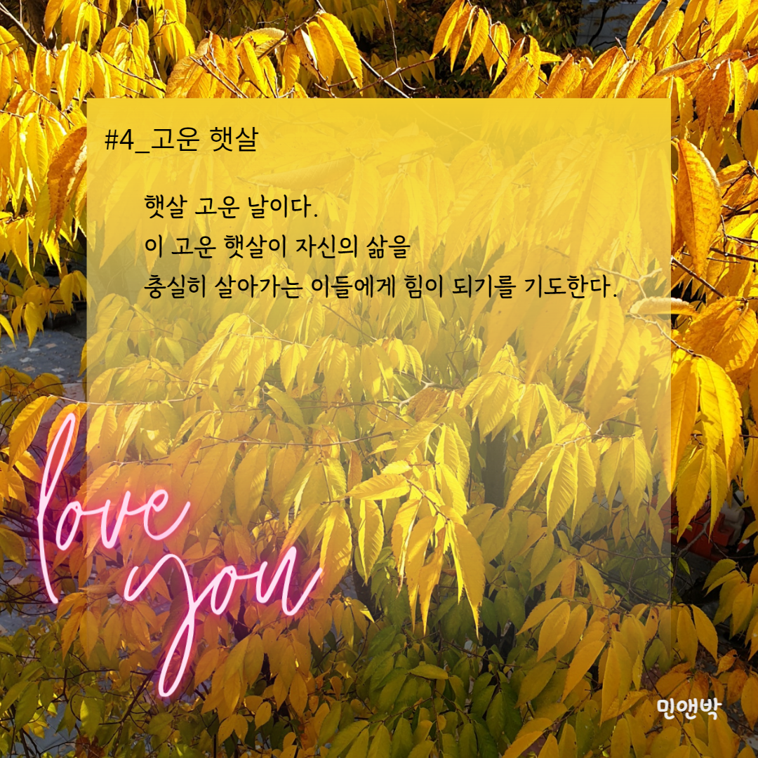 #4_고운 햇살-001.png