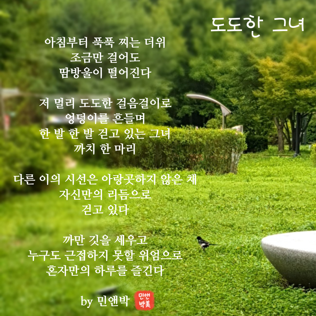 도도한 그녀.png