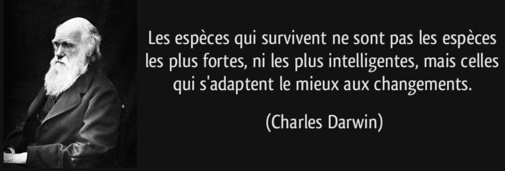 스크린샷 2024-06-18 오후 1.19.35.png