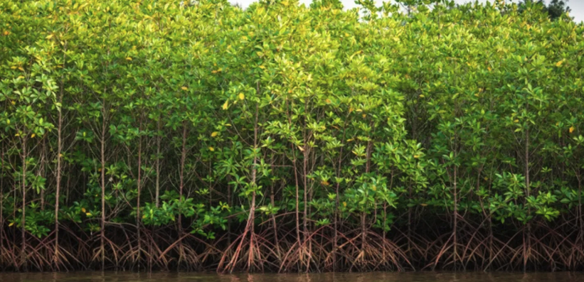 스크린샷 2024-06-25 오후 6.18.54.png