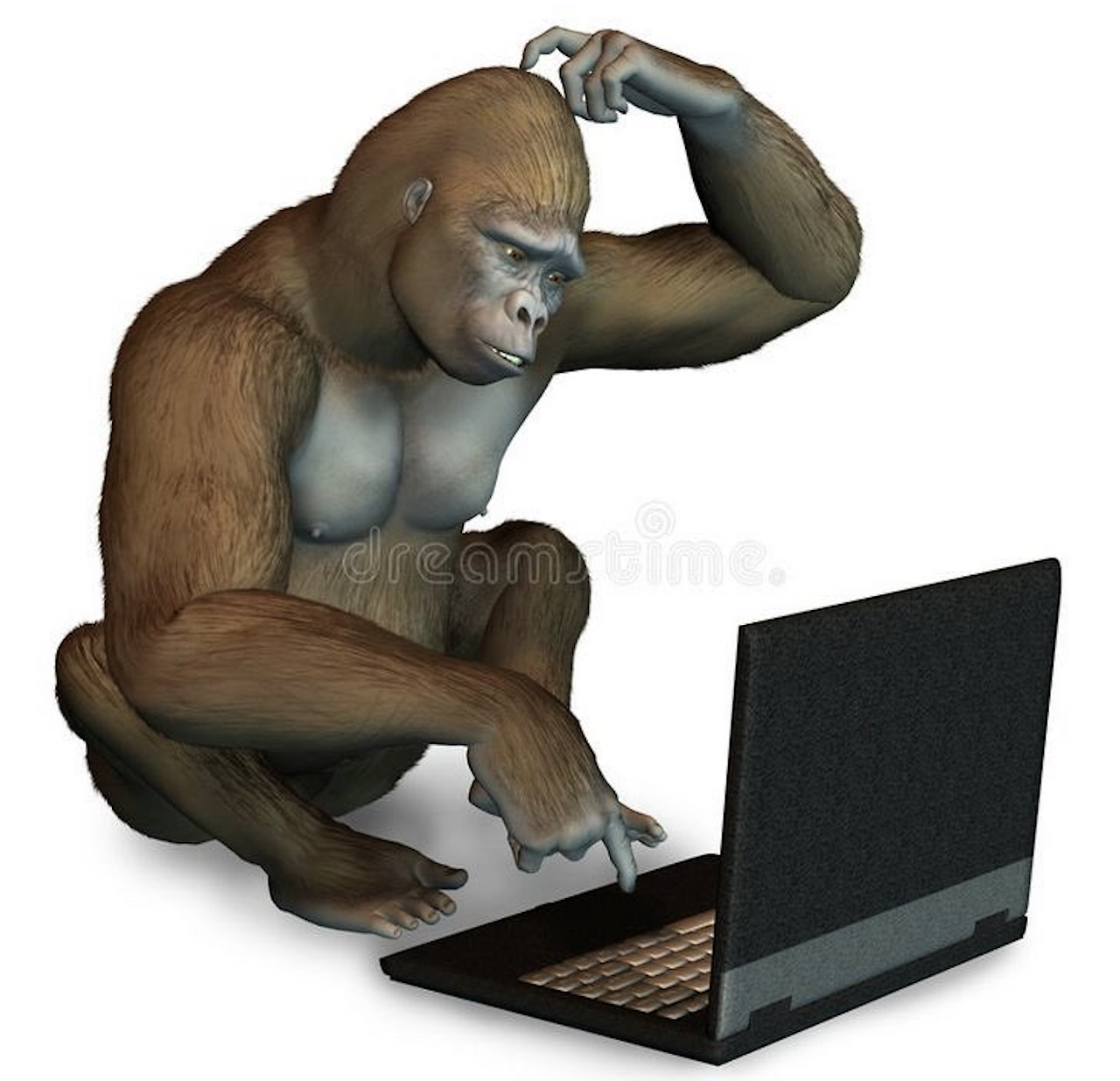 스크린샷 2024-10-30 오후 1.11.28.png