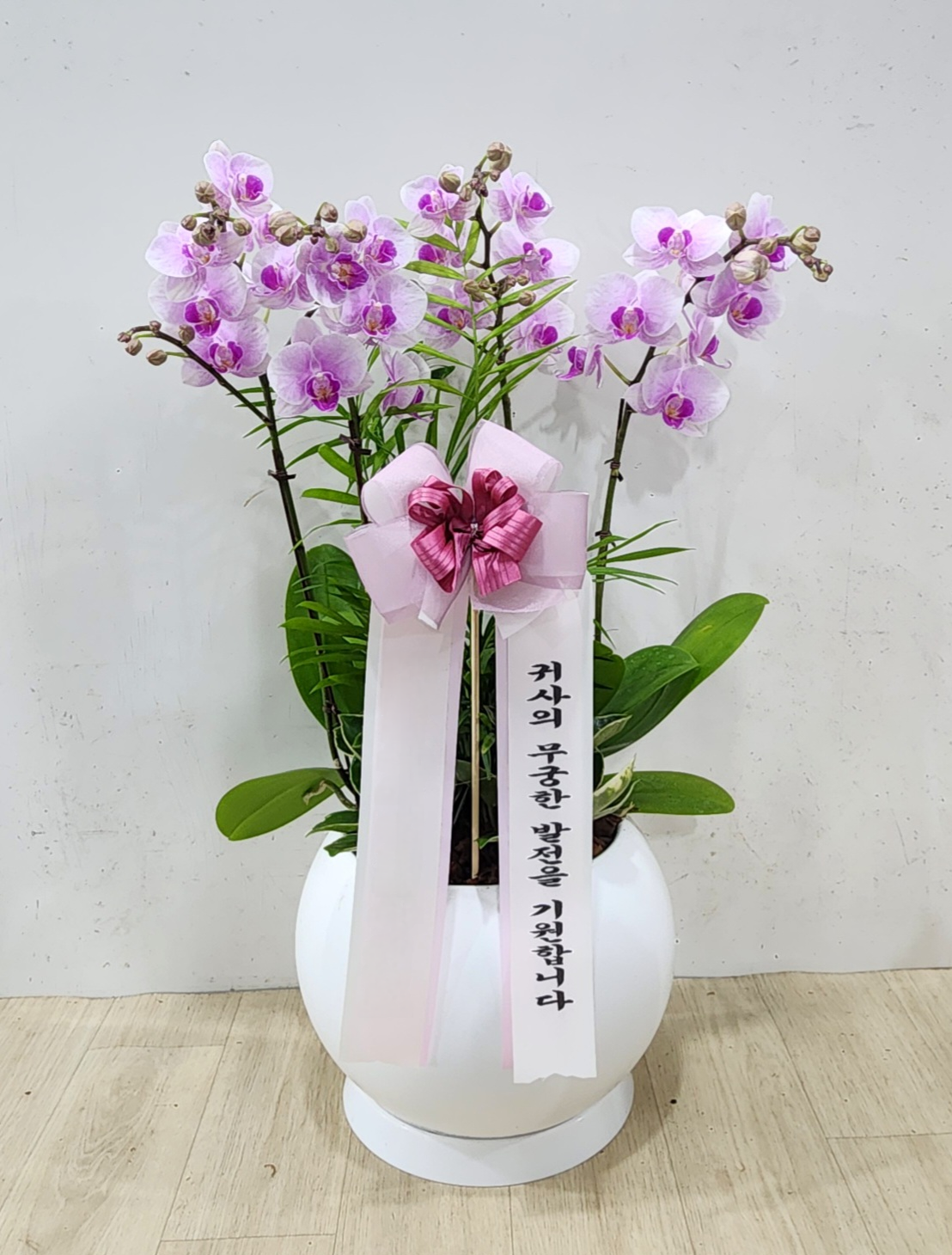 경기 과천시 별양상가3로 8 힐스테이트 1111~1114호.png