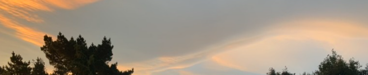 스크린샷 2020-10-30 오후 8.45.33.png