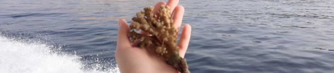 스크린샷 2020-10-24 오후 9.52.53.png