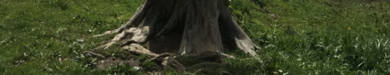 스크린샷 2020-10-26 오후 6.29.09.png