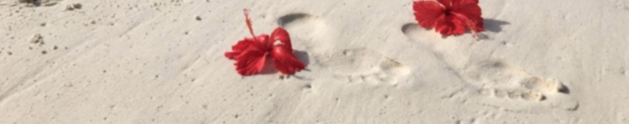 스크린샷 2020-10-30 오전 11.14.04.png