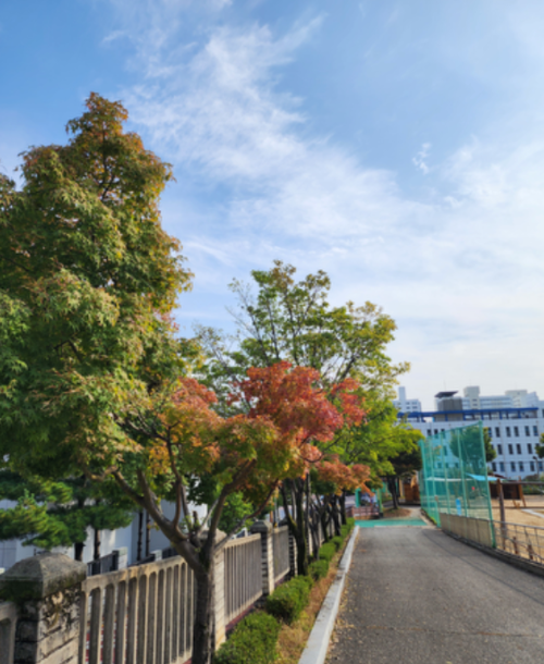 스크린샷 2024-12-25 오전 1.39.00.png