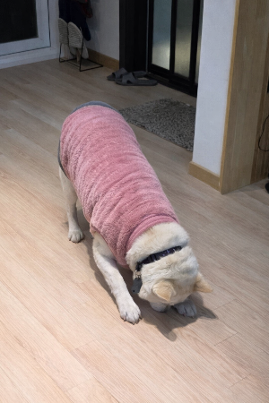 ChatGPT Image 2025년 12월 23일 오후 02_20_56 (1).png