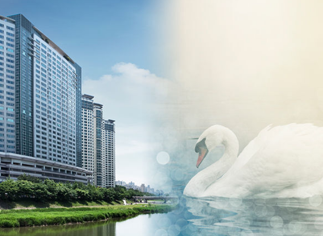 타워팰리스도 미분양이였어.png