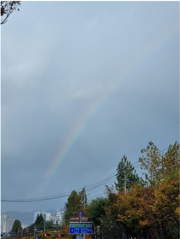 무지개.png