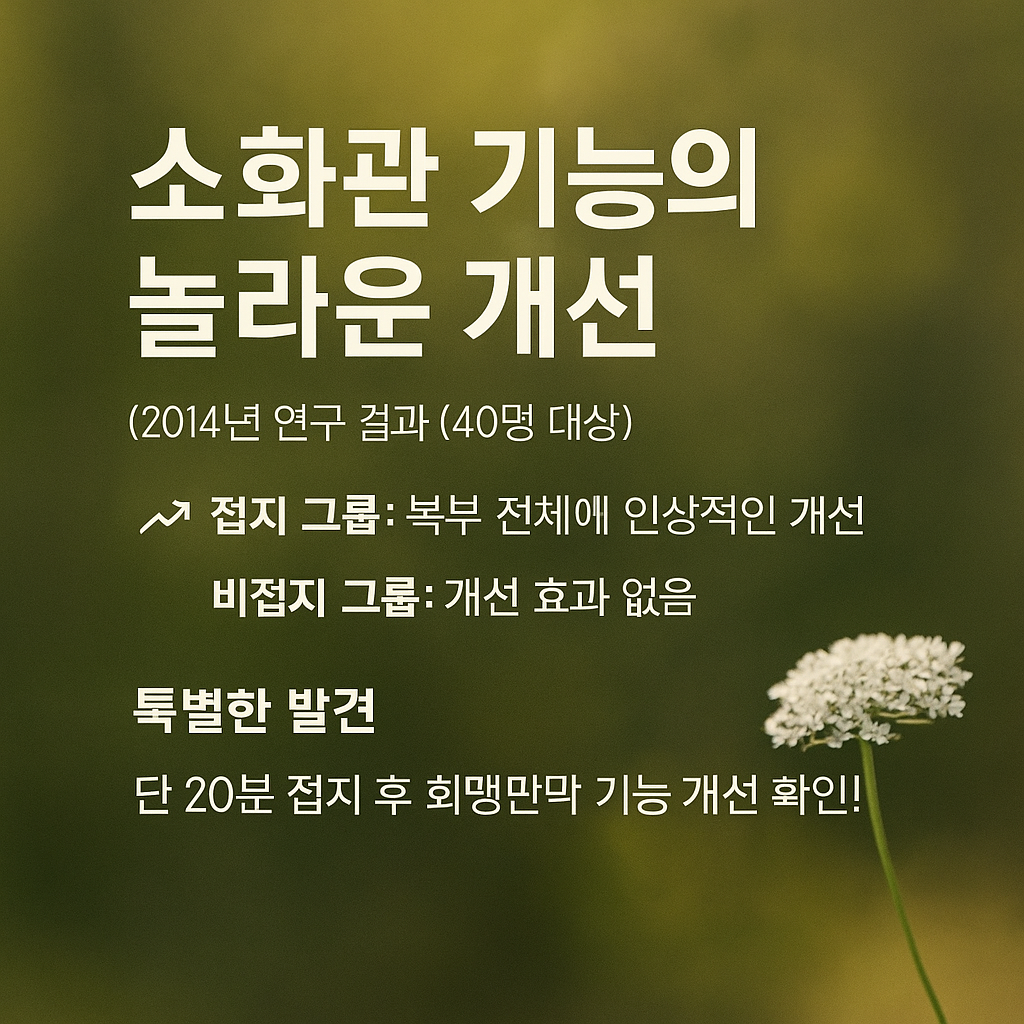 10번 카드.png