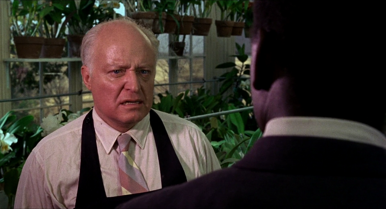 In.the.Heat.of.the.Night.1967.REMASTERED.1080p.BluRay.H264.AAC-RARBG.mp4_003894644.png