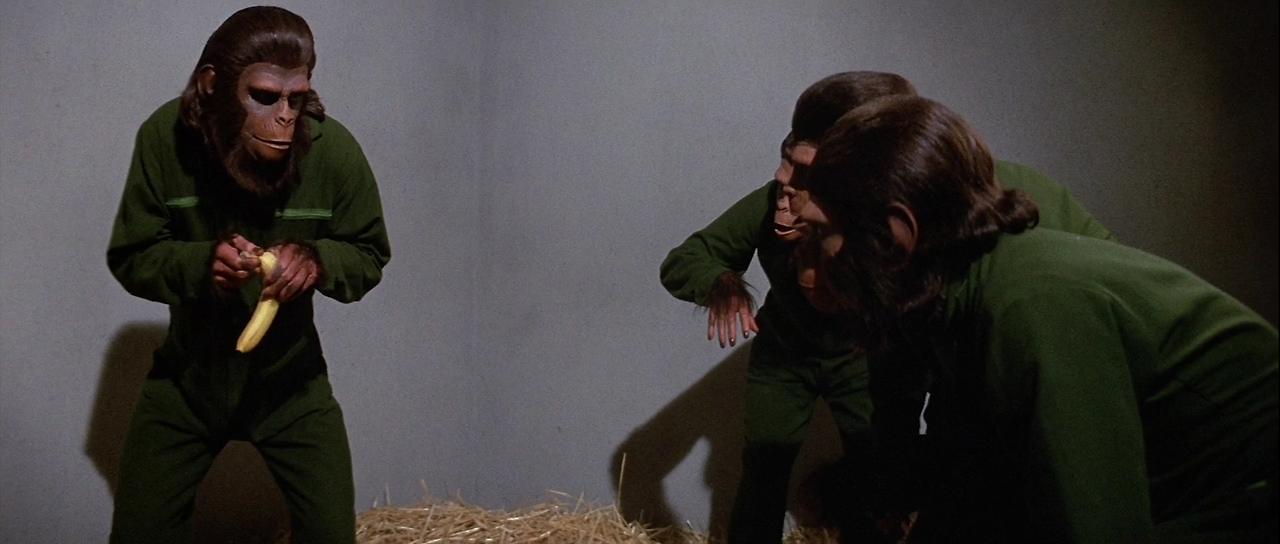 1972 Conquest.Of.The.Planet.Of.The.Apes.1972.1080p.BluRay.x264-SPARKS.mkv_001484944.png