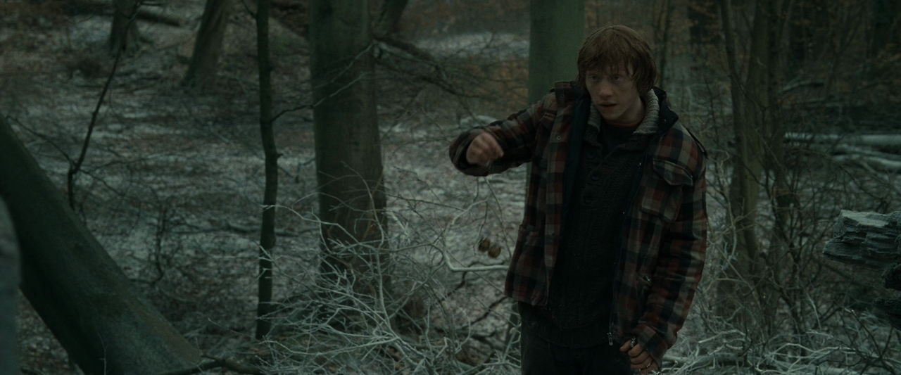 해리 포터와 죽음의 성물 - 1부.Harry.Potter.and.the.Deathly.Hallows.Part.1.2010.1080p.HQ.10bit.BluRay.5.1.x265.HEVC-MZABI.mkv_014331971.png