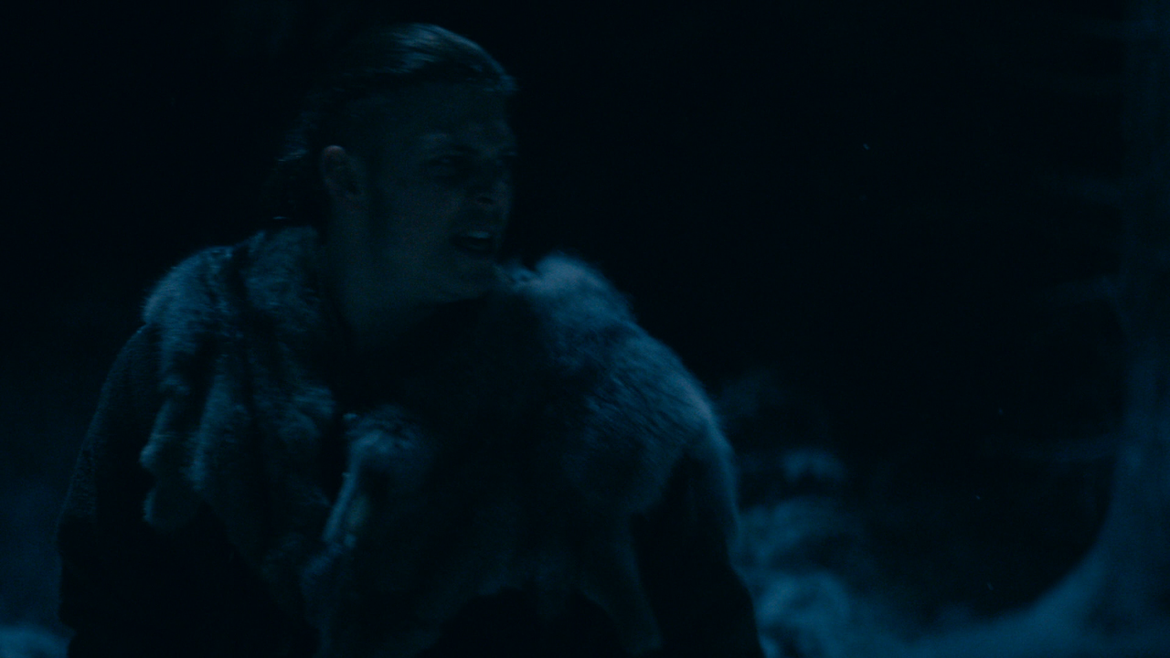 Vikings.S06E05.1080p.BluRay.x264-BORDURE.mkv_001193651.png