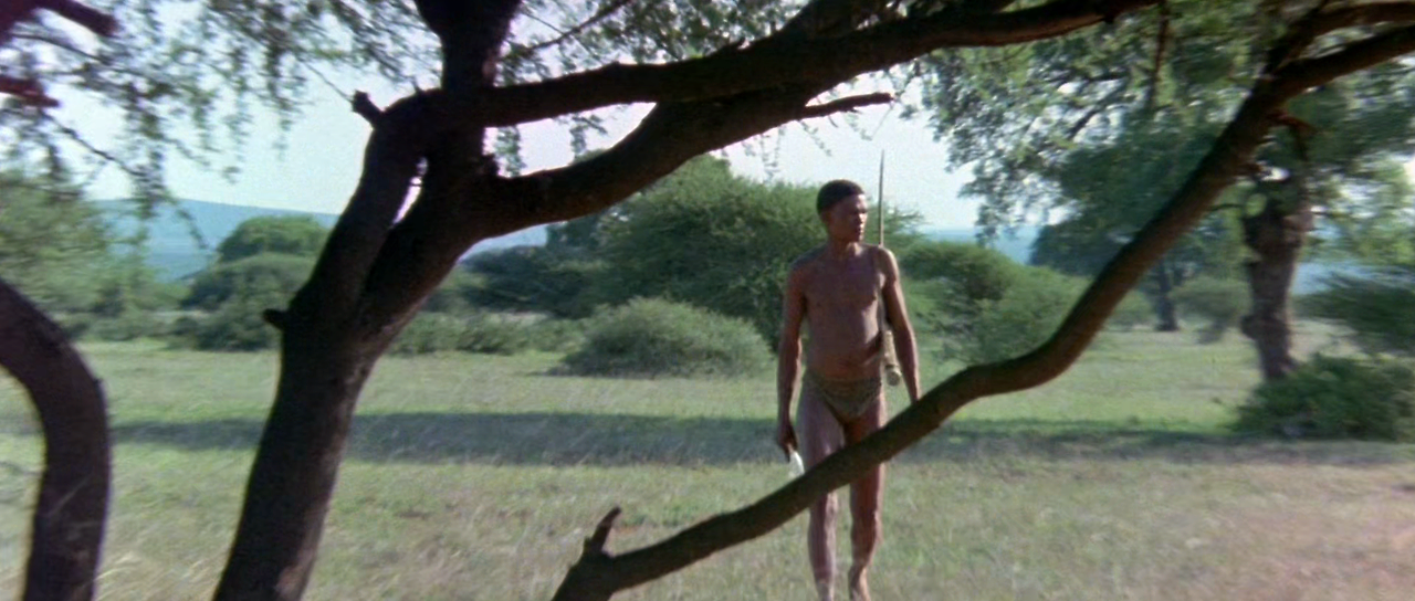 부시맨 The.Gods.Must.Be.Crazy.1984.1080p.WEBRip.x265-RARBG.mp4_010701038.png