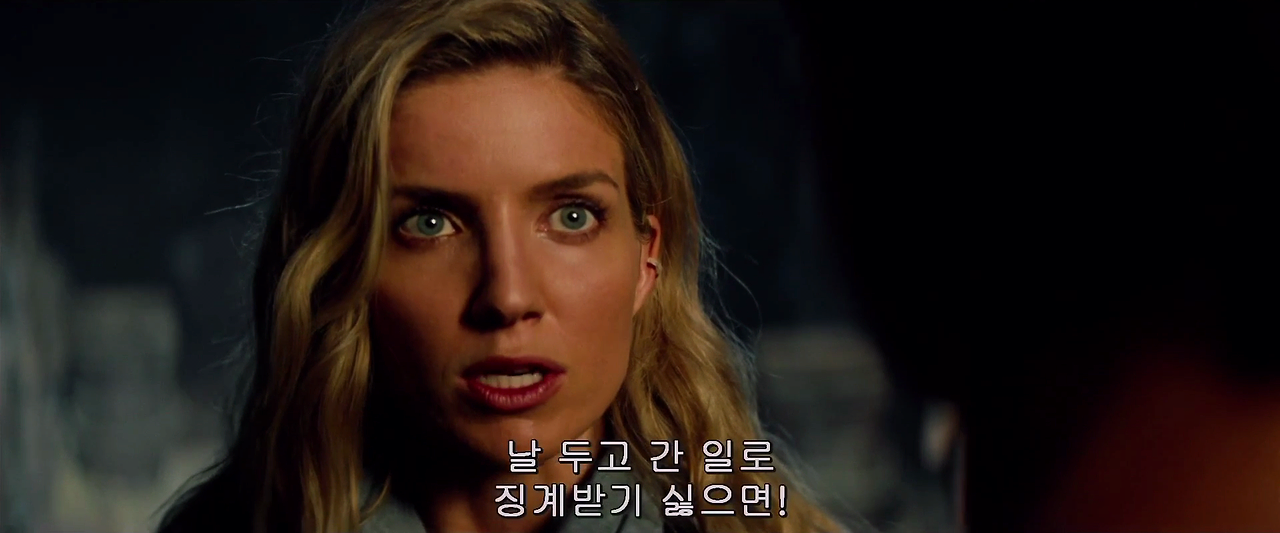 미이라.The Mummy.2017.1080p.KOR.FHDRip.H264.AAC-RTM[자체한글자막].mkv_002430143.png