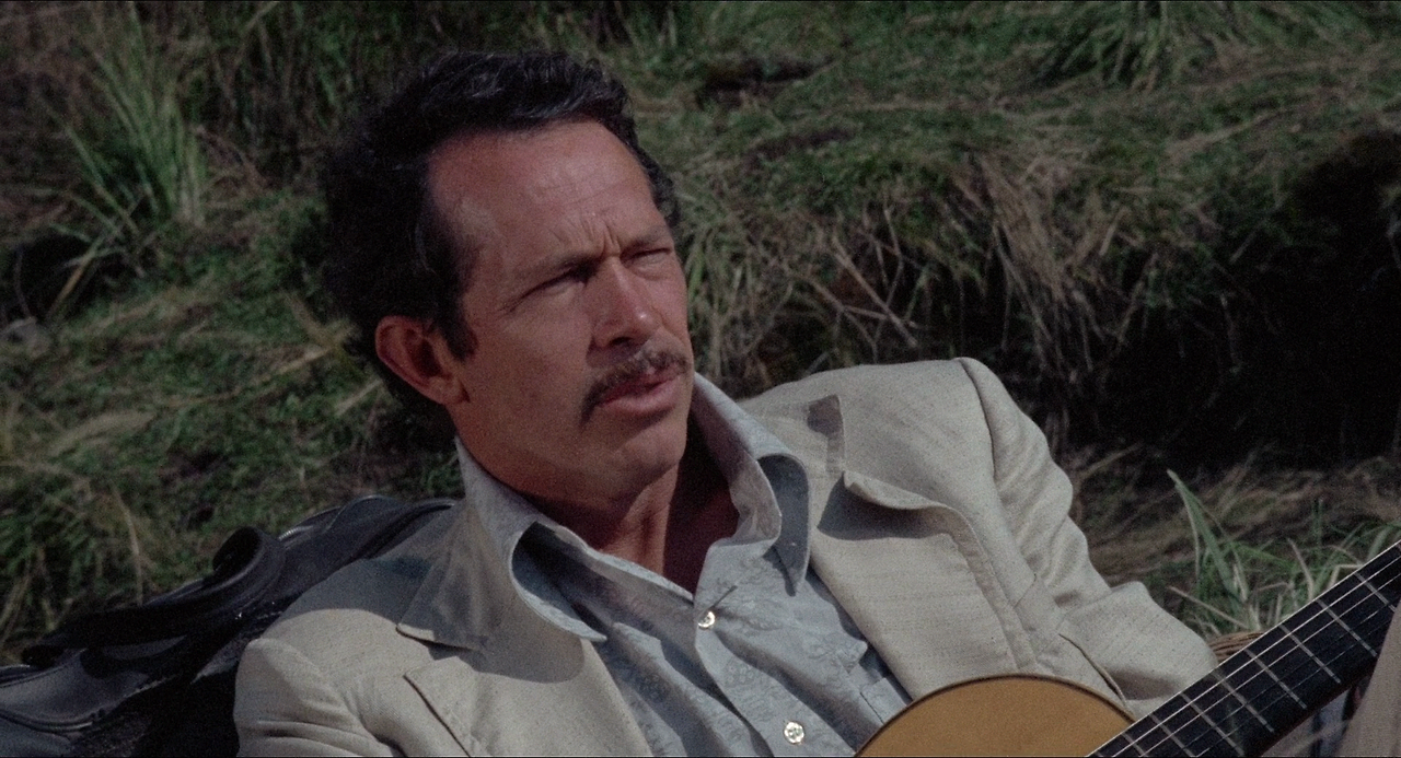 Bring.Me.the.Head.of.Alfredo.Garcia.1974.REMASTERED.1080p.BluRay.X264-AMIABLE.mkv_004123957.png