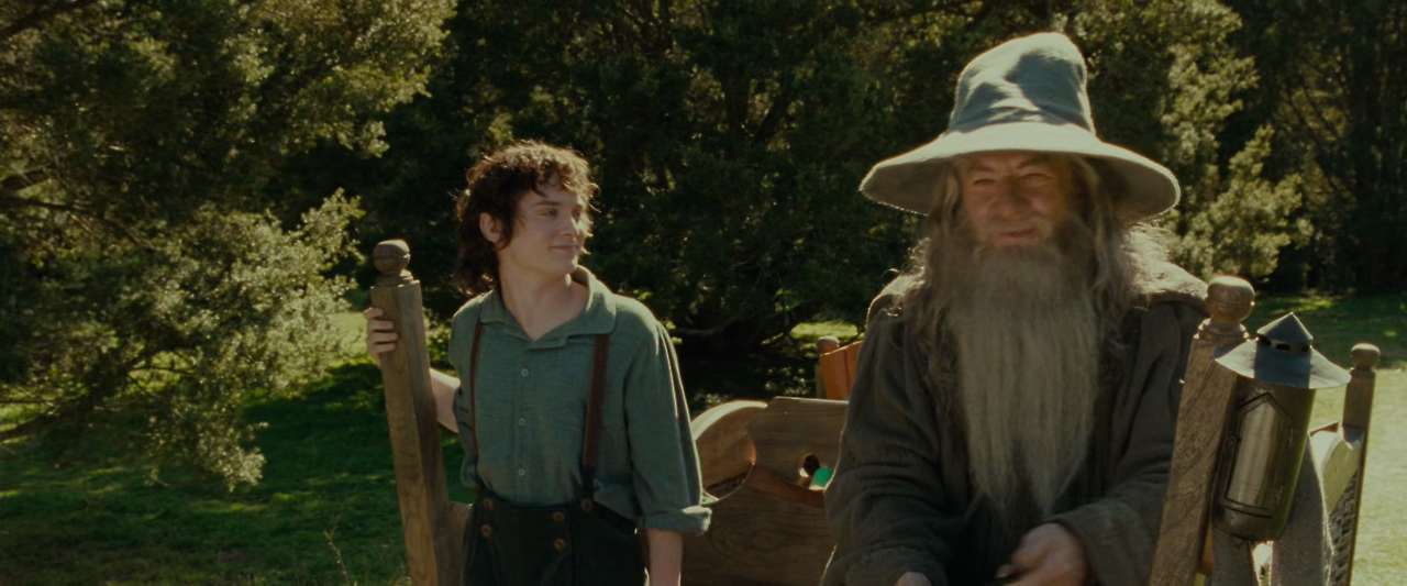 The.Lord.of.the.Rings.The.Fellowship.of.the.Ring.2001.EXTENDED.1080p.BluRay.x265-RARBG.mp4_001459946.png