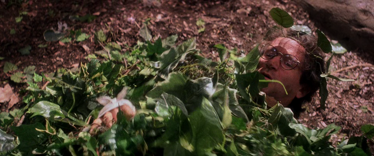 후크 Hook.1991.REMASTERED.1080p.BluRay.x265-RARBG.mp4_003177357.png