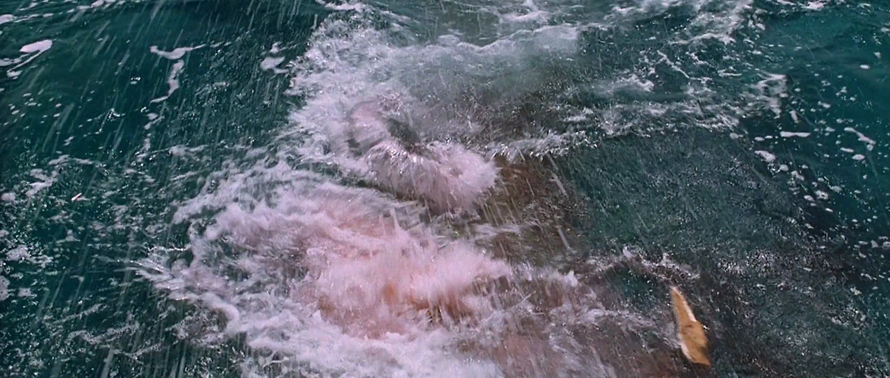 Jaws.The.Revenge.1987.1080p.BluRay.H264.AAC-RARBG.mp4_003426928.png