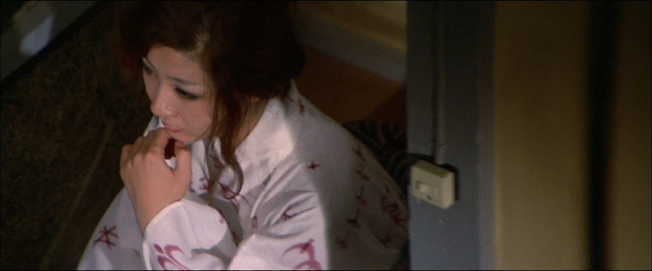 Seduction.of.Eros.1972.JAPANESE.1080p.AMZN.WEBRip.DDP2.0.x264-NOGRP.mkv_002759690.png