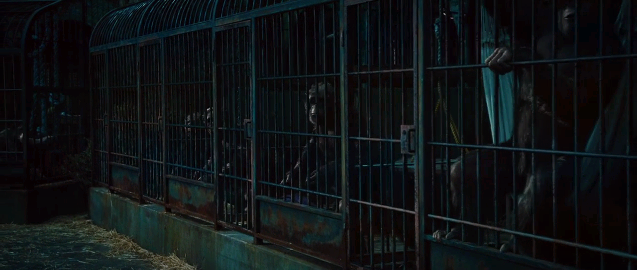 Rise.Of.The.Planet.Of.The.Apes.2011.720p.BluRay.H264.AAC-RARBG.mp4_005709045.png
