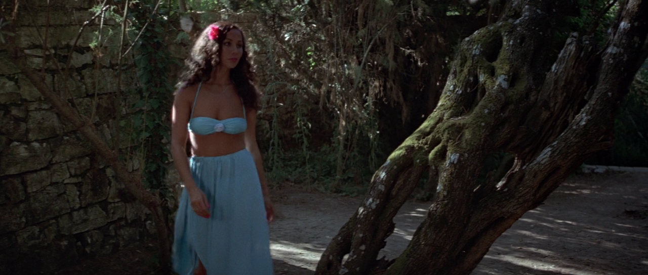 1981 - For.Your.Eyes.Only..1080p.BluRay.DTS.HighCode.mkv_001214338.png