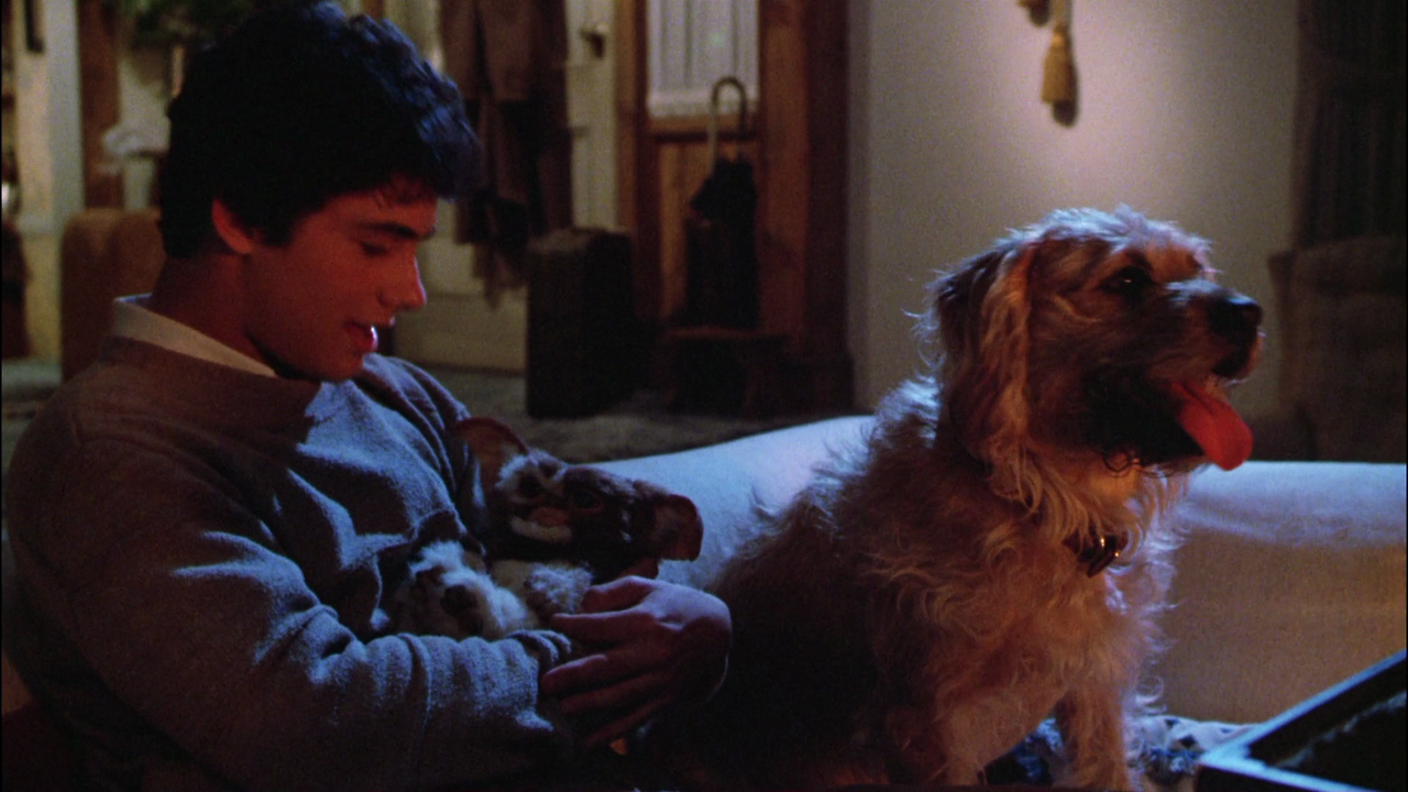 Gremlins.1984.1080p.Bluray.X264-DIMENSION.mkv_001906214.png