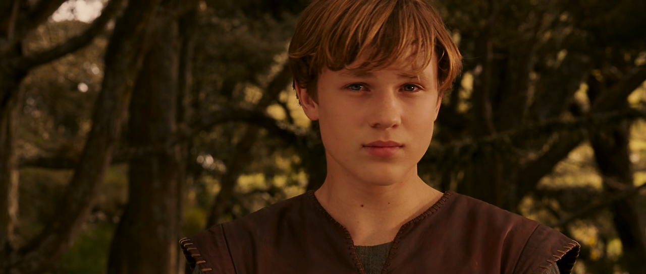 The.Chronicles.of.Narnia - The.Lion.The.Witch.and.the.Wardrobe.2005.1080p.BluRay.DTS-TerrieuS.mkv_005192354.png