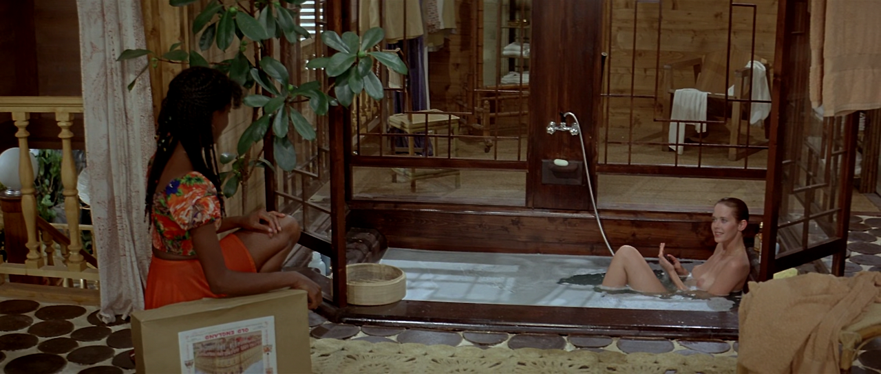 엠마뉴엘 3 - 굿바이 엠마뉴엘 Emmanuelle.3.1977.FRENCH.1080p.BluRay.x265-VXT.mp4_000241908.png