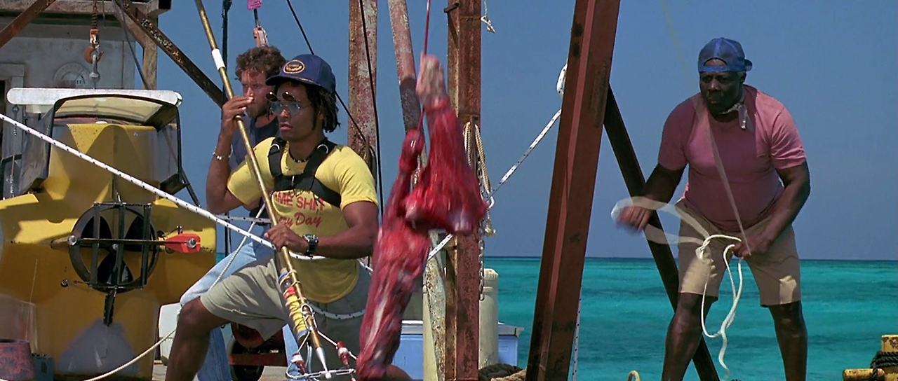 Jaws.The.Revenge.1987.1080p.BluRay.H264.AAC-RARBG.mp4_004843024.png