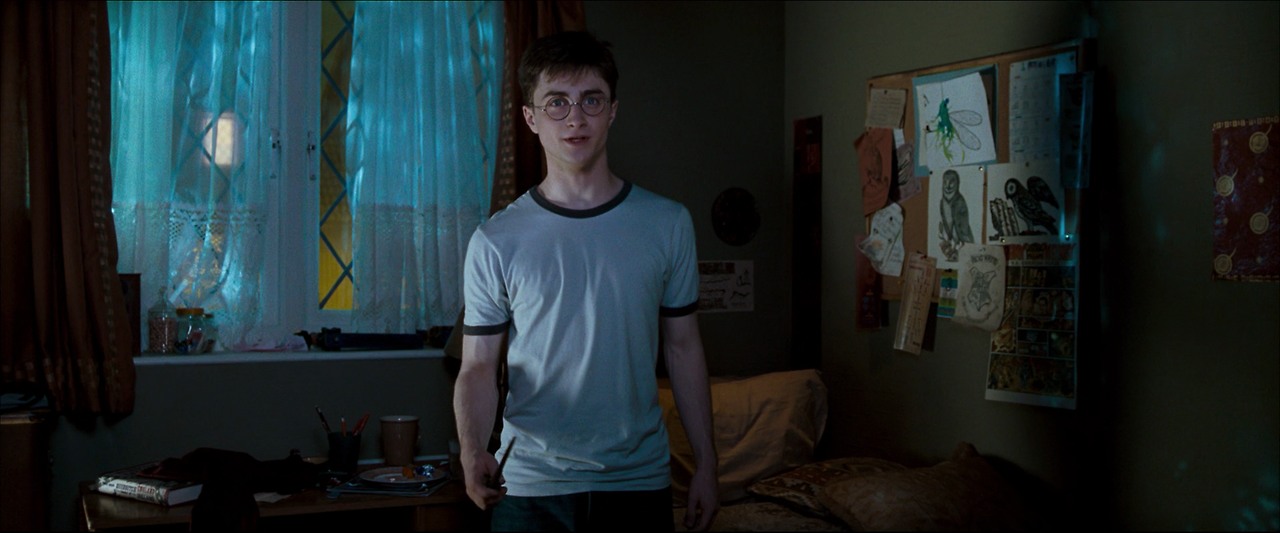 해리 포터와 불사조 기사단.Harry.Potter.and.the.Order.of.the.Phoenix.2007.1080p.HQ.10bit.BluRay.5.1.x265.HEVC-MZABI.mkv_000853618.png