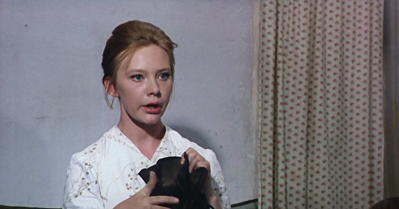 해바라기 Sunflower.I.Girasoli.1970.BDRip.720p.x264-mkvonly.mkv_010412896.png