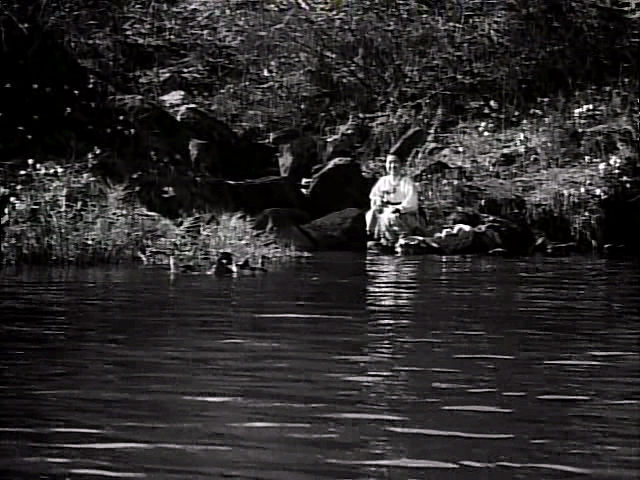 시집 가는 날.The.Wedding.Day.1956.조미령, 김승호, 최현, 김유희.XviD.AC3-WAF.avi_001125399.png