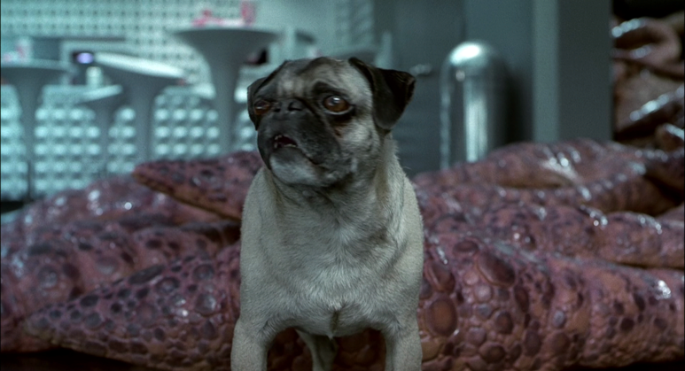 Men_in_Black_II_(2002)_(1080p_BluRay_x265_HEVC_10bit_AAC_5.1_Tigole).mkv_003 (8).png