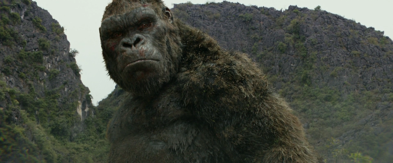 Kong.Skull.Island.2017.1080p.BluRay.x264.DTS-HD.MA.7.1-FGT.mkv_006275613.png